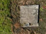 image of grave number 721285